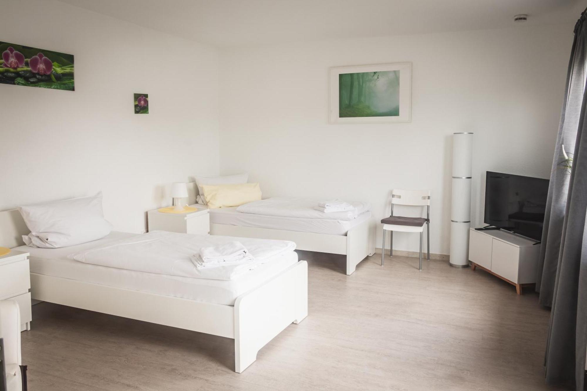 Pension Nickel Ferienwohnung I Waldstrasse 18 Alsbach-Haehnlein エクステリア 写真